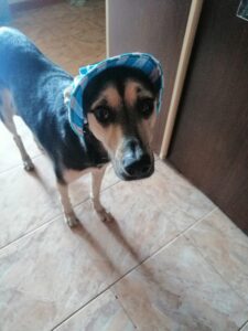 IMG 20250724 WA0020