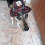 IMG 20250724 WA0027