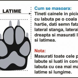 Botosei pentru catei X201 Rosu 5 CateiLaModa.ro Dimensiuni labuta1 CateiLaModa.ro
