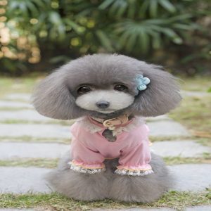 Bluza pentru catei MQ-02211 9 CateiLaModa.ro MQ 02211C
