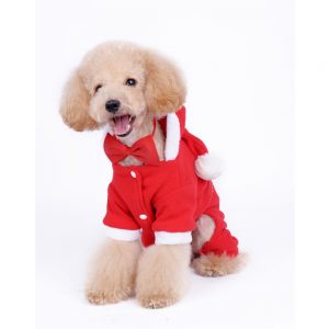 Costum Mos Craciun pentru catei MQ-DZ111 12 CateiLaModa.ro MQ DZ111 4