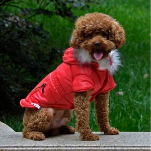 Canadiana pentru catei MQ-DZD01 9 CateiLaModa.ro MQ DZD01 21
