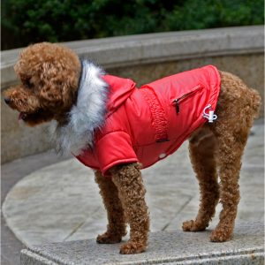 Canadiana pentru catei MQ-DZD01 10 CateiLaModa.ro MQ DZD01 4