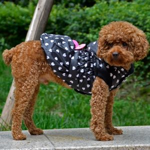 Canadiana pentru catei MQ-DZD07 Negru 11 CateiLaModa.ro MQ DZD07 4