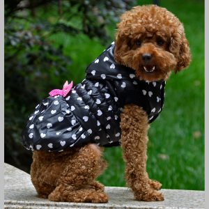 Canadiana pentru catei MQ-DZD07 Negru 12 CateiLaModa.ro MQ DZD07 5