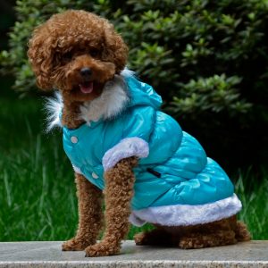 Canadiana pentru catei MQ-DZD28 Albastru 9 CateiLaModa.ro MQ DZD28 4