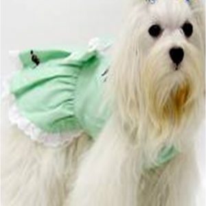 Rochita pentru catei S227G 6 CateiLaModa.ro S227G b
