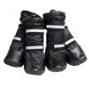 XF1717N