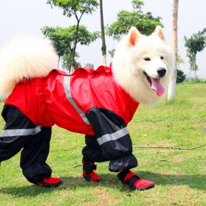 x1230 show 3