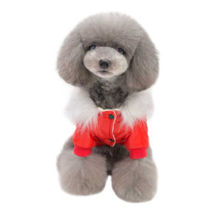 Canadiana pentru catei MYP228 R 10 CateiLaModa.ro MYP228R 2