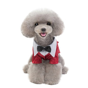 Sacou pentru catei MYP216R 10 CateiLaModa.ro MYP216R 4
