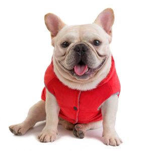 Canadiana pentru catei Bulldog/Pug MYP401R 10 CateiLaModa.ro MYP401R 3