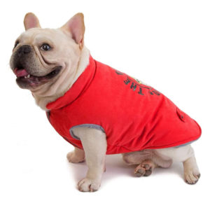 Canadiana pentru catei Bulldog/Pug MYP401R 11 CateiLaModa.ro MYP401R 5