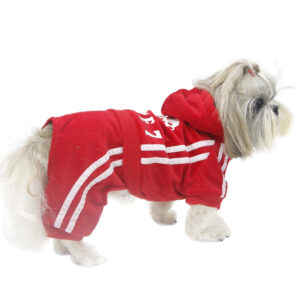 Trening pentru catei S276R 12 CateiLaModa.ro S276R 4