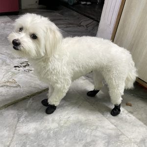 Ghete pentru catei M-TH005N 25 CateiLaModa.ro M TH005N 19