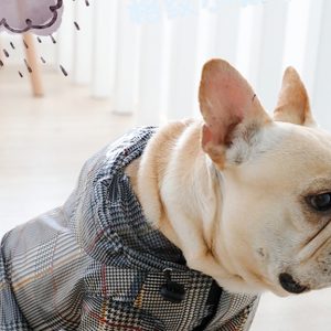 Pelerina pentru catei Bulldog/Pug MD02 26 CateiLaModa.ro M02 11