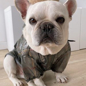 Pelerina pentru catei Bulldog/Pug MD02 31 CateiLaModa.ro M02 17