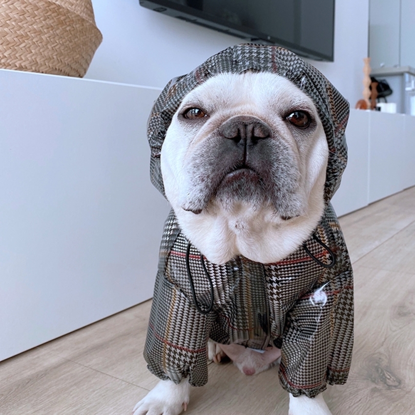 Pelerina pentru catei Bulldog/Pug MD02 13 CateiLaModa.ro M02 18