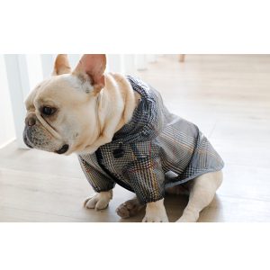 Pelerina pentru catei Bulldog/Pug MD02 32 CateiLaModa.ro M02 5