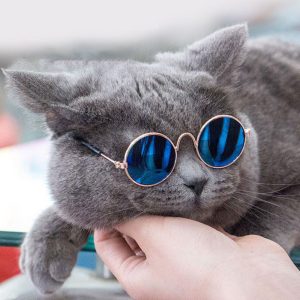 Ochelari de soare M5031 109 CateiLaModa.ro M5031A 10