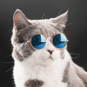 Ochelari de soare M5031 110 CateiLaModa.ro M5031A 9