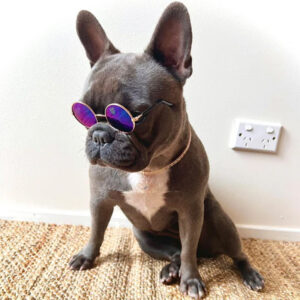 Ochelari de soare M5031 129 CateiLaModa.ro M5031 60