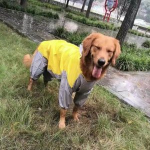 Salopeta de ploaie pentru catei MFB01G 46 CateiLaModa.ro MFB01G 16