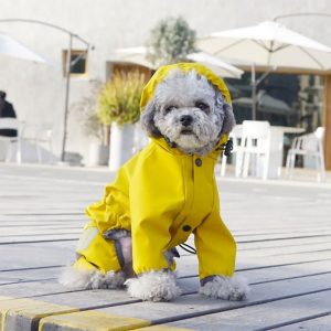 Salopeta de ploaie pentru catei SJY001G 23 CateiLaModa.ro SJY001G 8