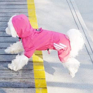 Salopeta de ploaie pentru catei SJY001P 25 CateiLaModa.ro SJY001L 6