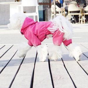 Salopeta de ploaie pentru catei SJY001P 23 CateiLaModa.ro SJY001L 8