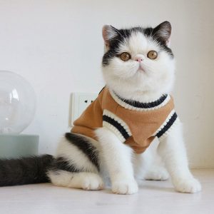 Pulover pentru catei MZX610138B 38 CateiLaModa.ro MZX610138C 5