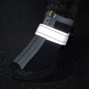 Ghete pentru catei A1704N 16 CateiLaModa.ro A1704N 5