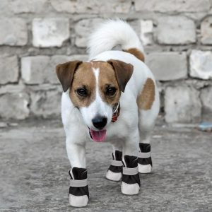 Ghete pentru catei X1827N 29 CateiLaModa.ro X1827N 6