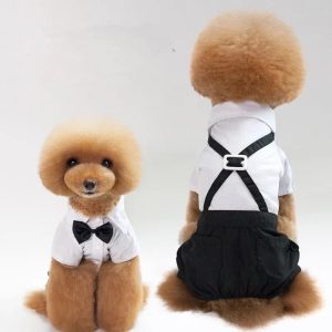 Costum pentru catei MCBG12 32 CateiLaModa.ro MCBG12 17
